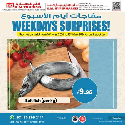 KM Trading catalogue | Weekdays Surprises! Musaffah | 15/05/2024 - 15/05/2024