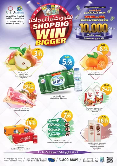 Union Coop catalogue in Ajman | Exclusive bargains | 08/10/2024 - 22/10/2024