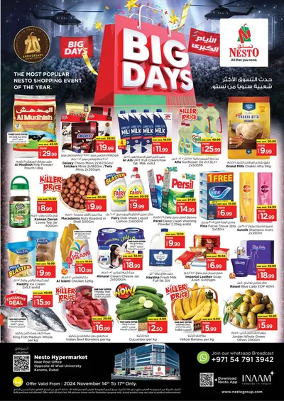 Nesto catalogue in Dubai | Nesto BIG DAYS DEALS karama | 14/11/2024 - 18/11/2024