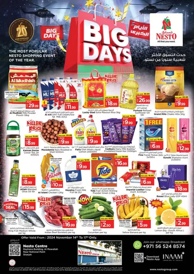 Nesto catalogue in Sharjah | Nesto BIG DAYS NPT | 14/11/2024 - 18/11/2024