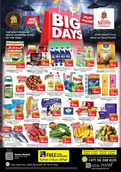 Nesto catalogue in Sharjah | BIG DAYS NESTO ONE TOWER | 14/11/2024 - 18/11/2024