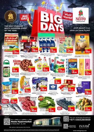 Nesto catalogue in Al Nahda | Nesto Big Days, Al Ain | 14/11/2024 - 18/11/2024