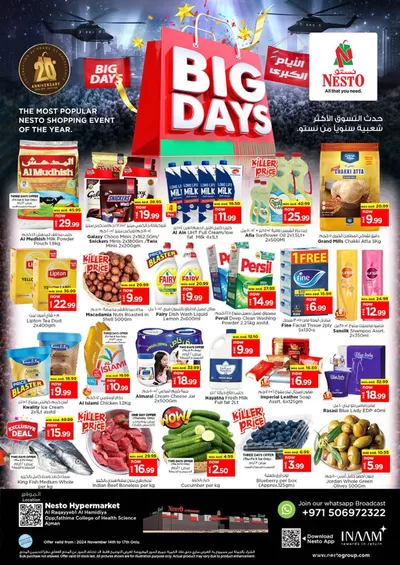 Nesto catalogue in Ajman | Top deals for all customers | 14/11/2024 - 18/11/2024