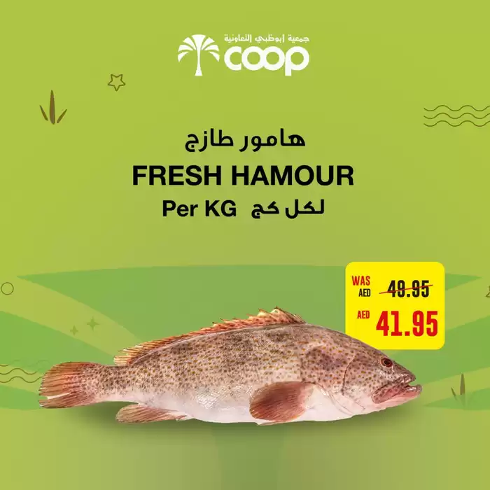 Abudabhi Coop catalogue in Abu Dhabi | Abudhabi Coop promotion | 23/11/2024 - 07/12/2024