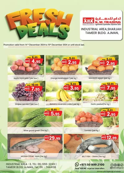 KM Trading catalogue in Al Ain | KMTrading promotion | 15/12/2024 - 29/12/2024