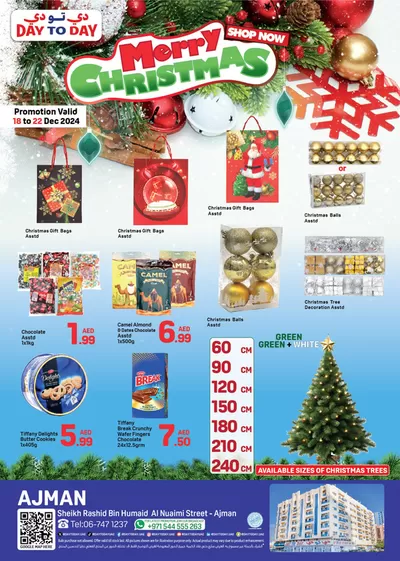 Day to Day catalogue in Ajman | Day to Day promotion | 18/12/2024 - 01/01/2025