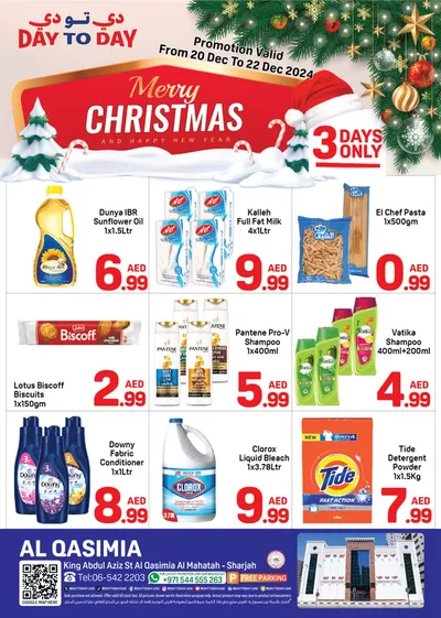 Day to Day catalogue in Ajman | Day to Day promotion | 19/12/2024 - 02/01/2025