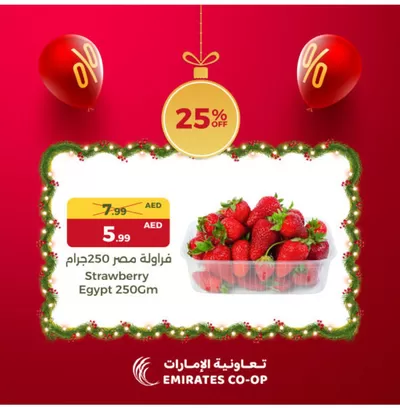 Groceries offers in Hatta | Attractive special offers for everyone in Emirates co-operative society | 21/12/2024 - 23/12/2024