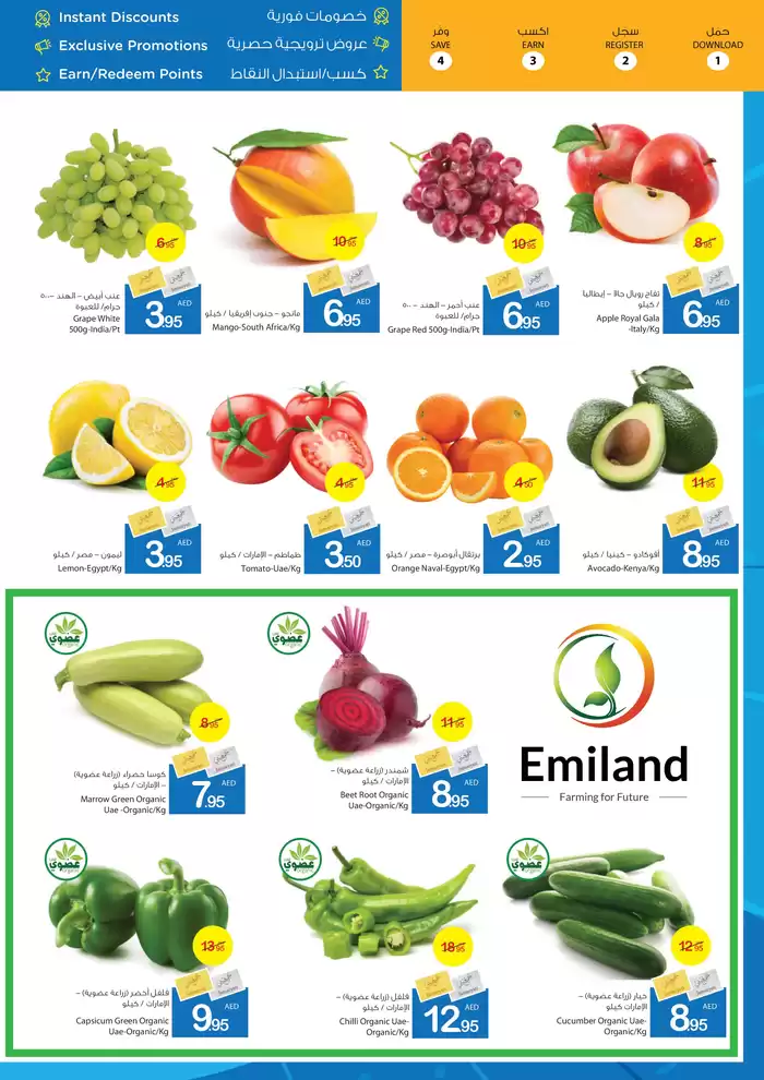 Ajman Market catalogue in Umm al-Quwain | Ajman Market promotion | 10/01/2025 - 17/01/2025