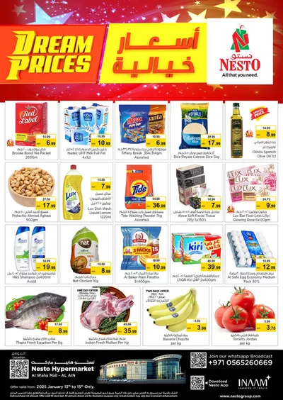 Nesto catalogue in Al Nahda | Nesto Dream Prices, Al Ain | 13/01/2025 - 16/01/2025