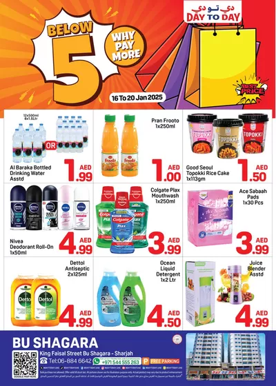 Day to Day catalogue in Dubai | New offers to discover | 15/01/2025 - 22/01/2025