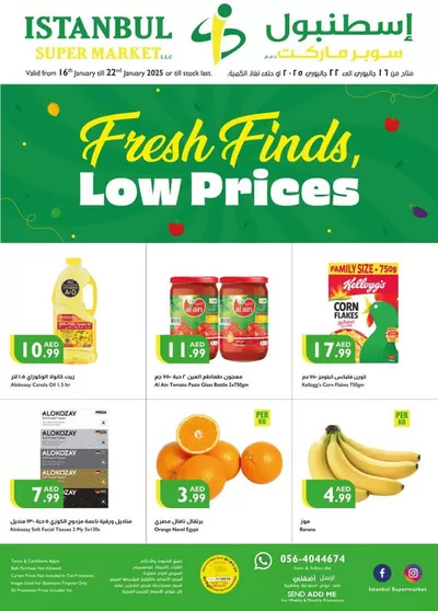 Groceries offers in Al Nahda | Fresh Finds & Low Prices in Istanbul Supermarket | 16/01/2025 - 22/01/2025