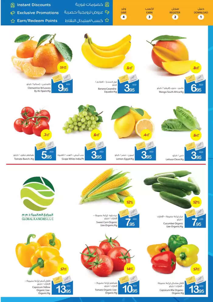 Ajman Market catalogue in Al Dhaid | Ajman Market promotion | 17/01/2025 - 24/01/2025