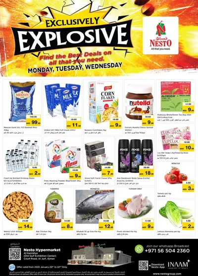 Nesto catalogue in Umm al-Quwain | Save now with our deals | 20/01/2025 - 23/01/2025