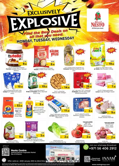 Nesto catalogue in Ras al-Khaimah | Top deals and discounts | 19/01/2025 - 23/01/2025