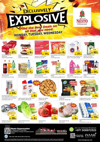 Nesto catalogue in Umm al-Quwain | Top offers for thrifty shoppers | 20/01/2025 - 23/01/2025