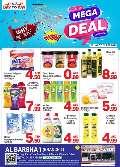 Day to Day catalogue in Sharjah | Day to Day promotion | 26/01/2025 - 09/02/2025