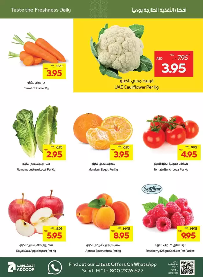 Abudabhi Coop catalogue in Abu Dhabi | Abudhabi Coop promotion | 31/01/2025 - 14/02/2025