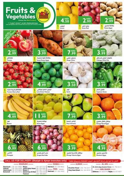 Istanbul Supermarket catalogue in Ajman | Our best bargains | 31/01/2025 - 14/02/2025