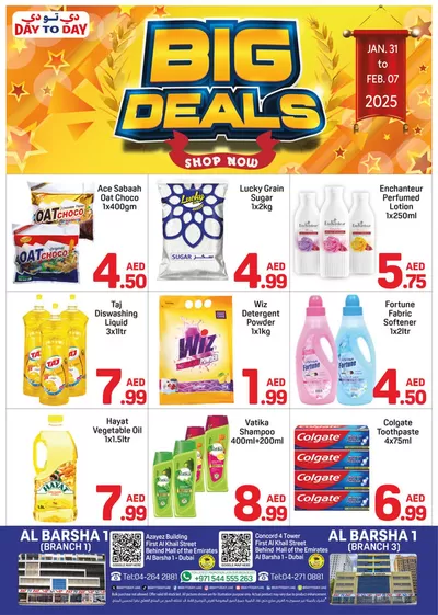 Day to Day catalogue in Dubai | Day to Day promotion | 31/01/2025 - 14/02/2025