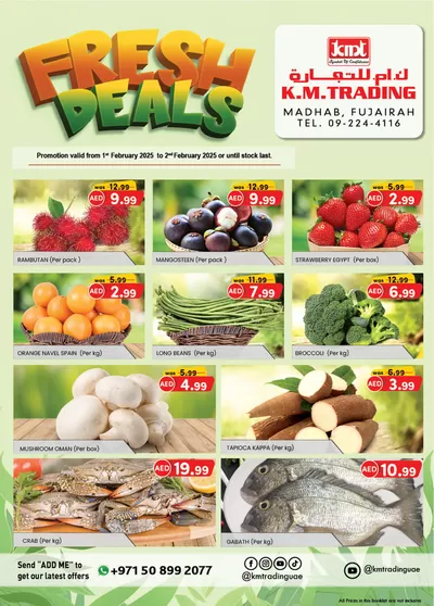 KM Trading catalogue in Sharjah | KMTrading promotion | 02/02/2025 - 16/02/2025