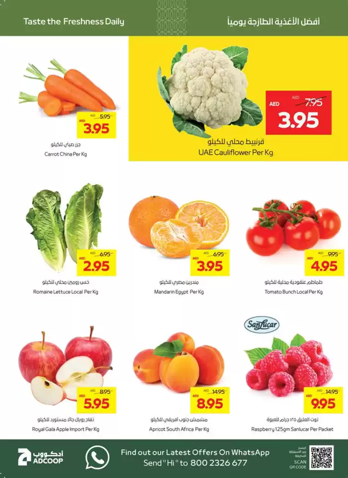 Megamart catalogue in Sharjah | Home Clean Home! | 03/02/2025 - 05/02/2025