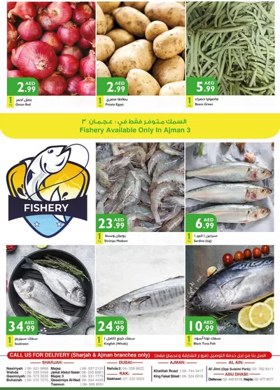 Istanbul Supermarket catalogue in Sharjah | Istanbul Supermarket promotion | 04/02/2025 - 18/02/2025