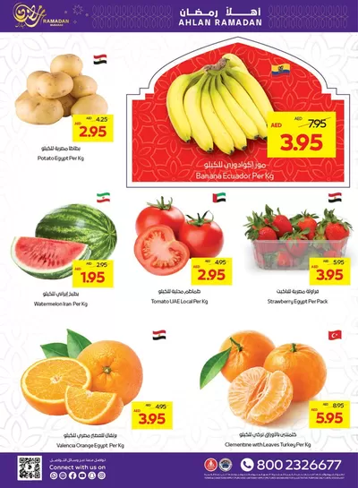 Abudabhi Coop catalogue in Abu Dhabi | Current deals and offers | 08/02/2025 - 22/02/2025