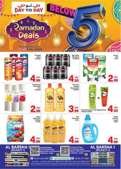 Day to Day catalogue in Sharjah | Day to Day promotion | 16/02/2025 - 02/03/2025