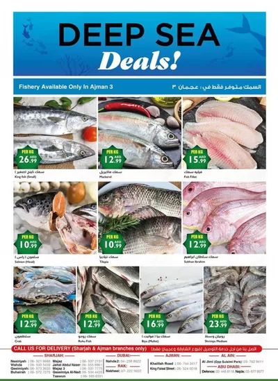 Istanbul Supermarket catalogue in Ajman | Offers for bargain hunters | 02/03/2025 - 16/03/2025